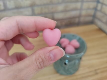 Wax Melts Rosas