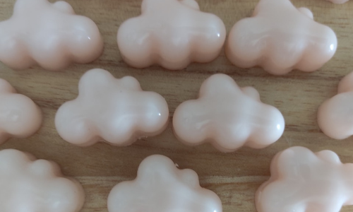 Wax Melts Floral